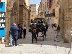 Mdina horse 