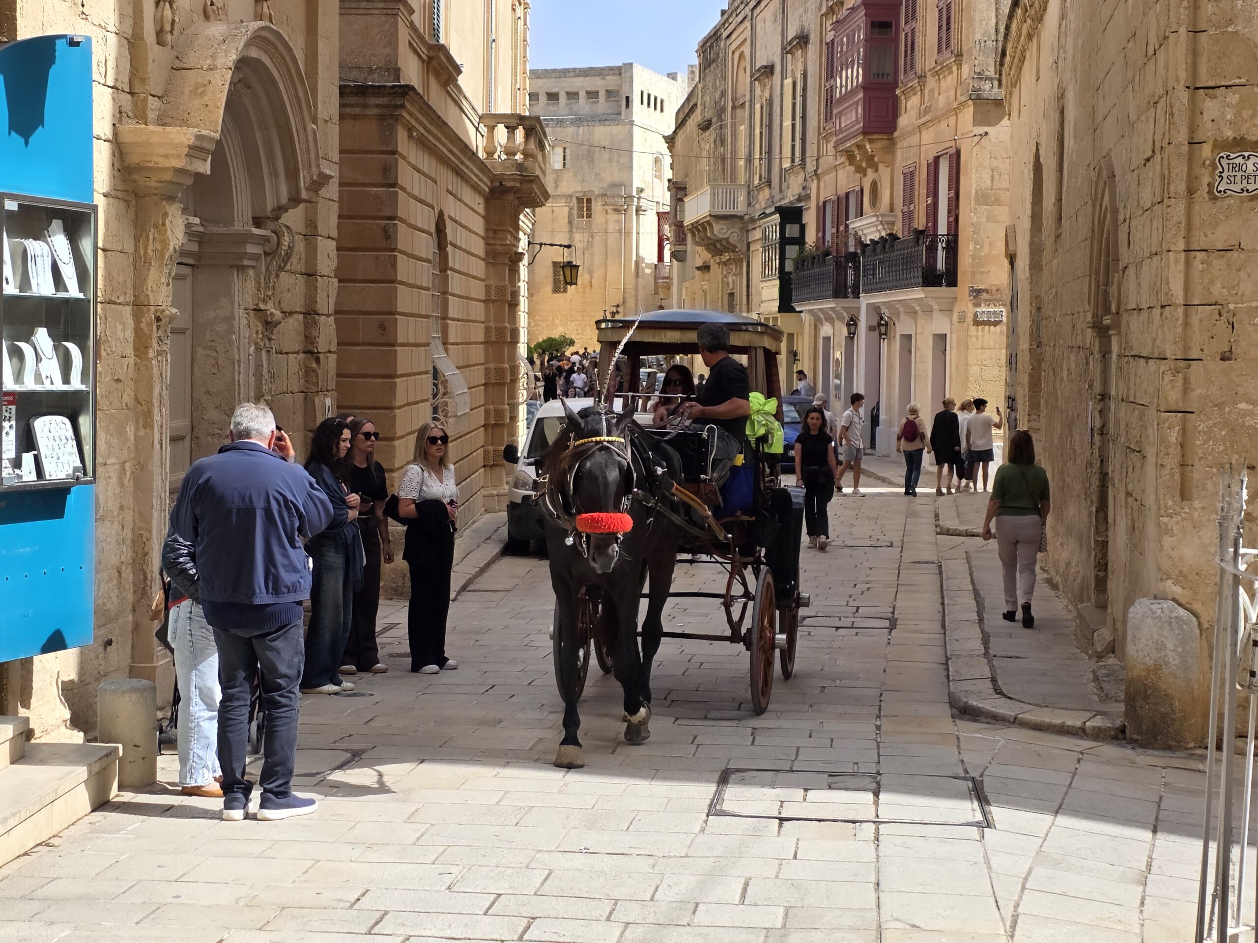 Mdina horse 