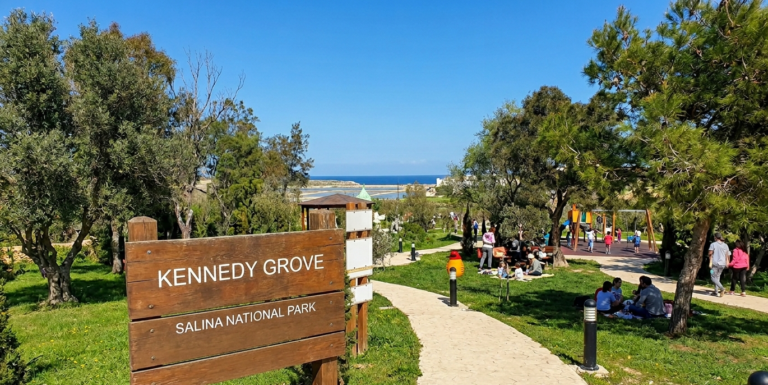 Kennedy Grove & Salina Park Malta: A Local Favorite for Family Days Out